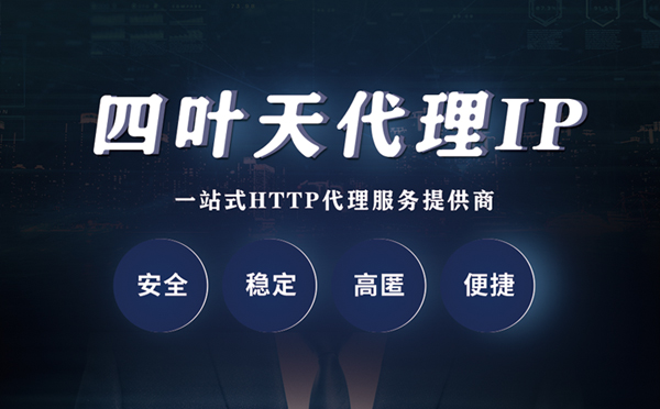 【天长代理IP】代理ip客户端使用教程